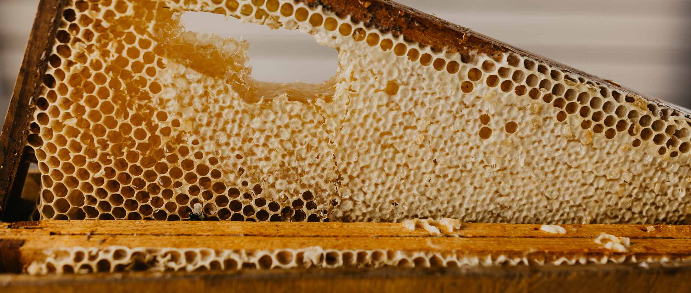 Honingraat | Zuiver Vlieland – fine dining in een sfeervolle settin.