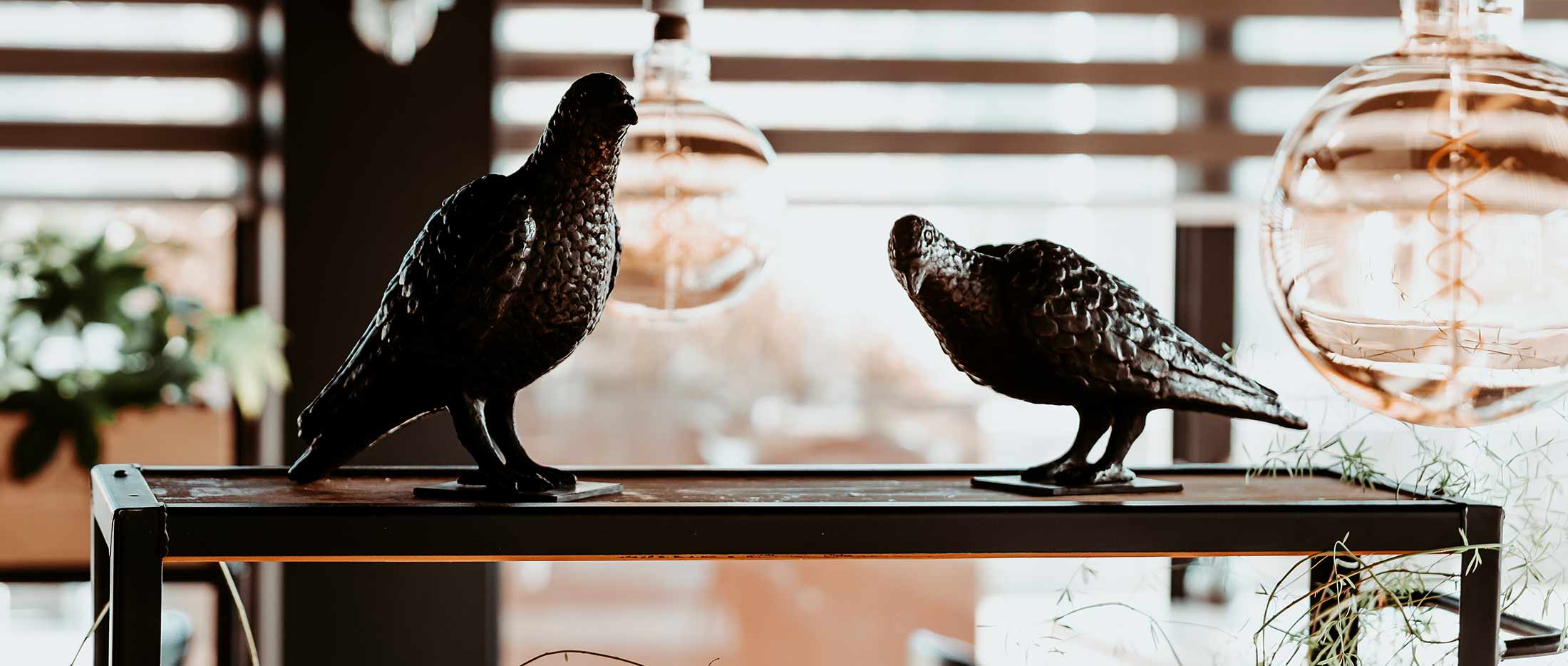 Kunst | Zuiver Vlieland – dining experience met eilandvibes.