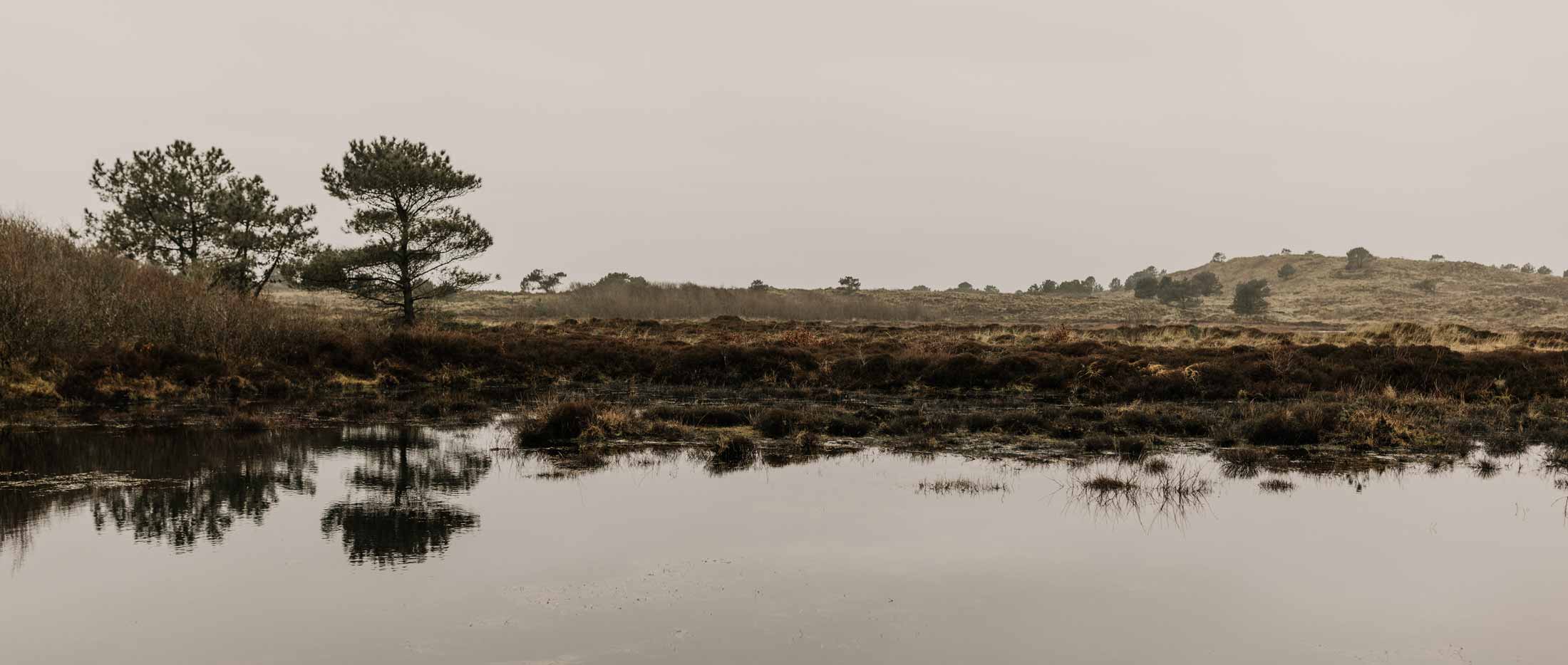 Natuur | Zuiver Vlieland – culinair vakmanschap op Vlieland.