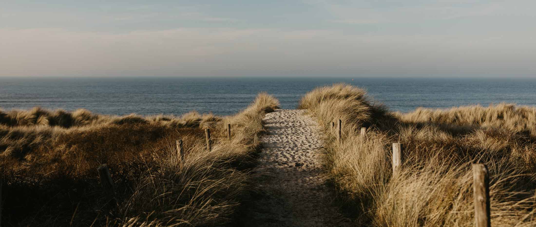 Natuur | Zuiver Vlieland – pure beleving in elk detail.