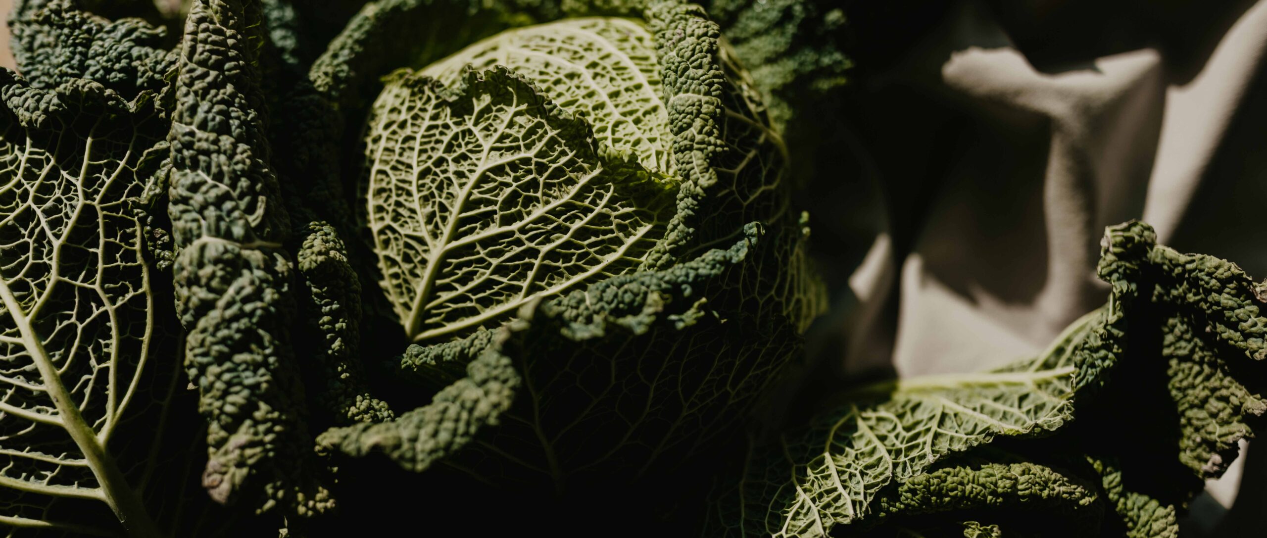 Groente | Zuiver Vlieland – pure beleving in elk detail.